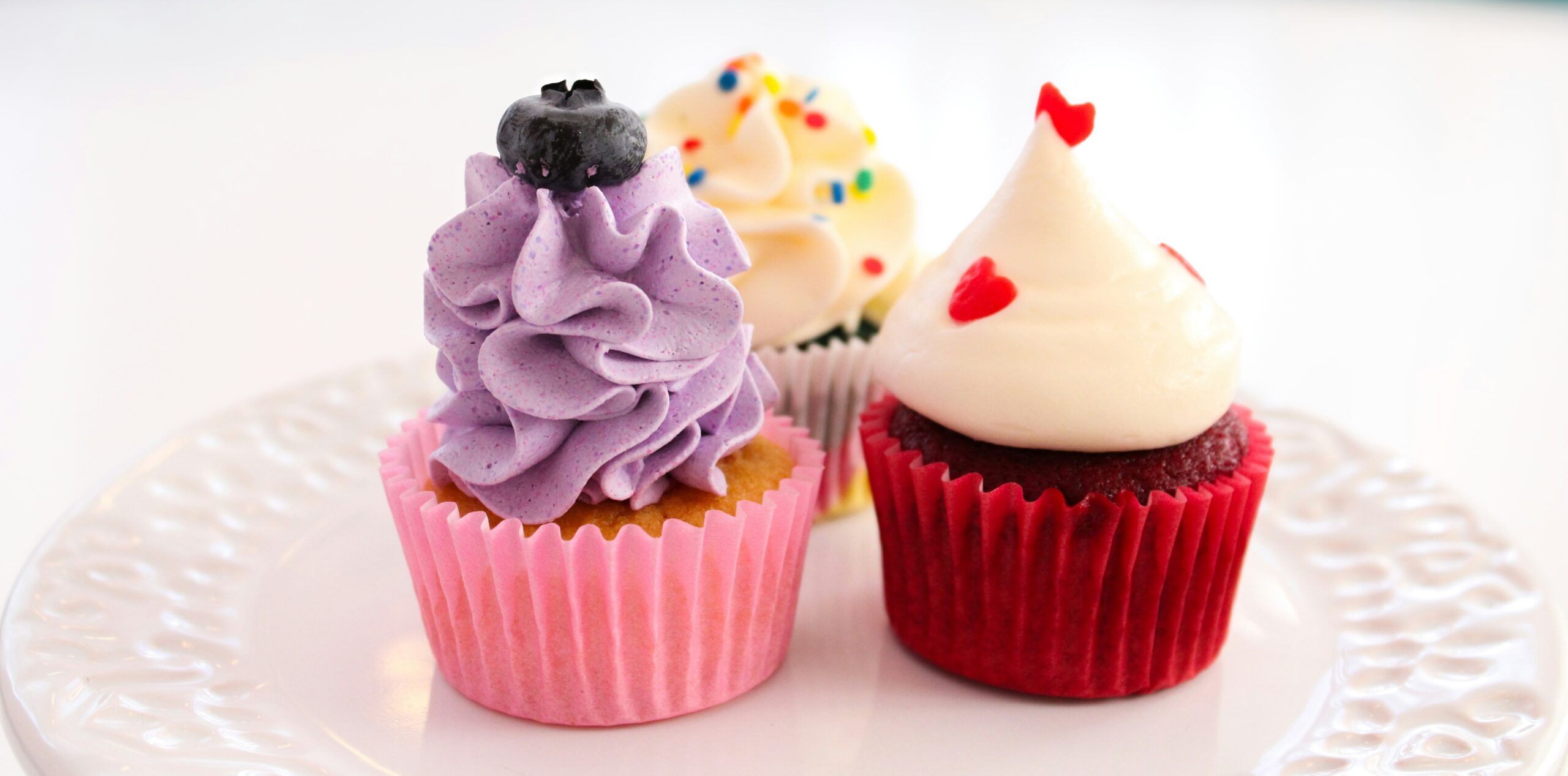 imgen_principal_2-1-scaled